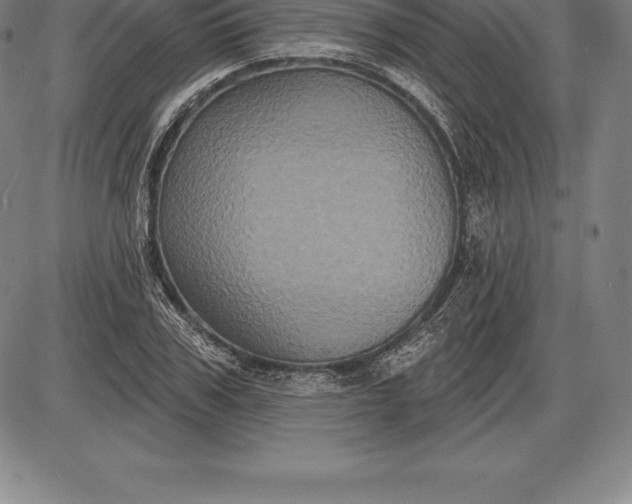 X0000085820979200703301549