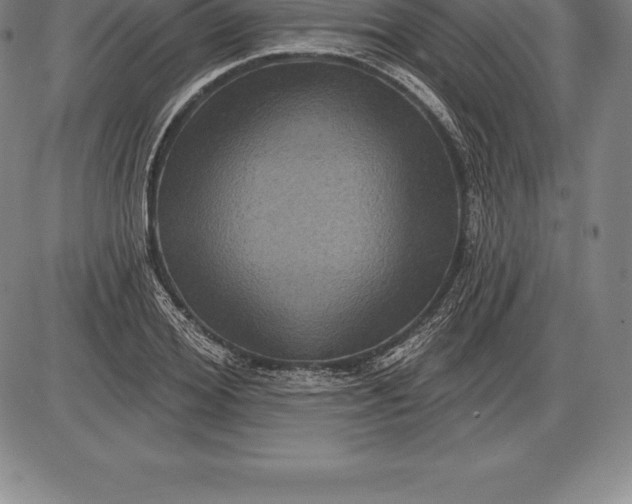 X0000085820980200703301549