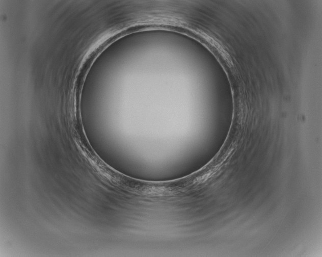X0000085820982200703301549
