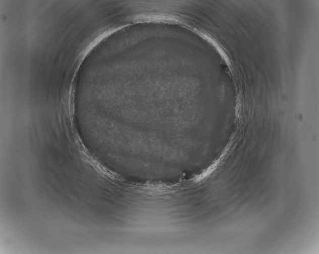 X0000085820983200703301549
