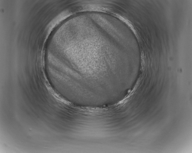 X0000085820987200703301549