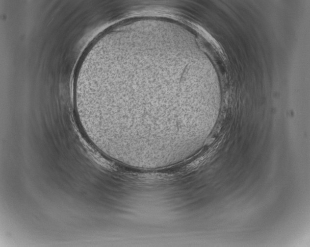 X0000085820988200703301549