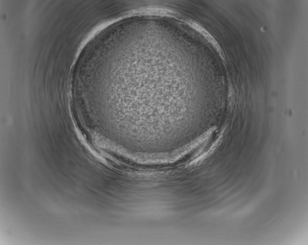 X0000085820989200703301549