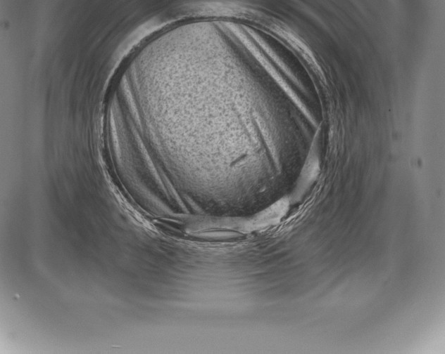 X0000085820992200703301549