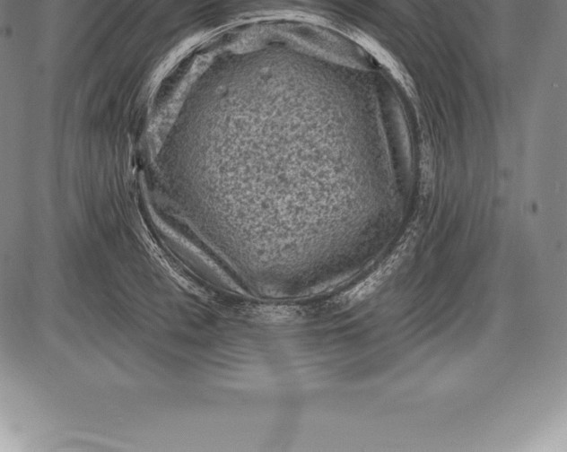 X0000085820993200703301549