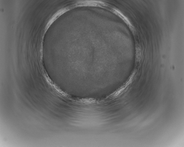 X0000085820994200703301549