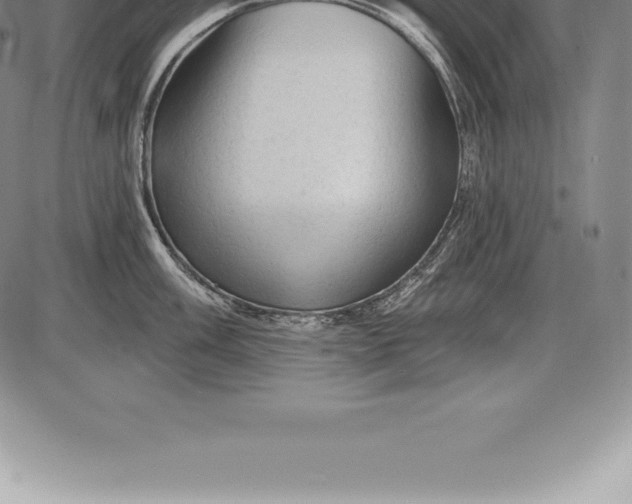 X0000085821003200703301549