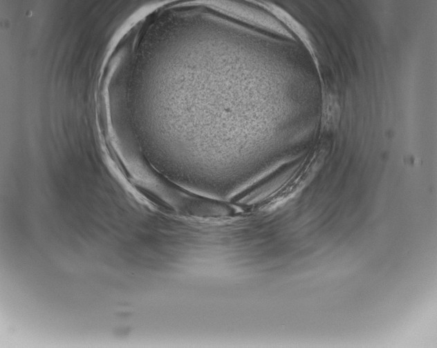 X0000085821005200703301548