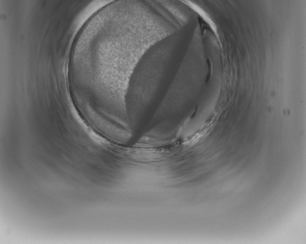 X0000085821007200703301548