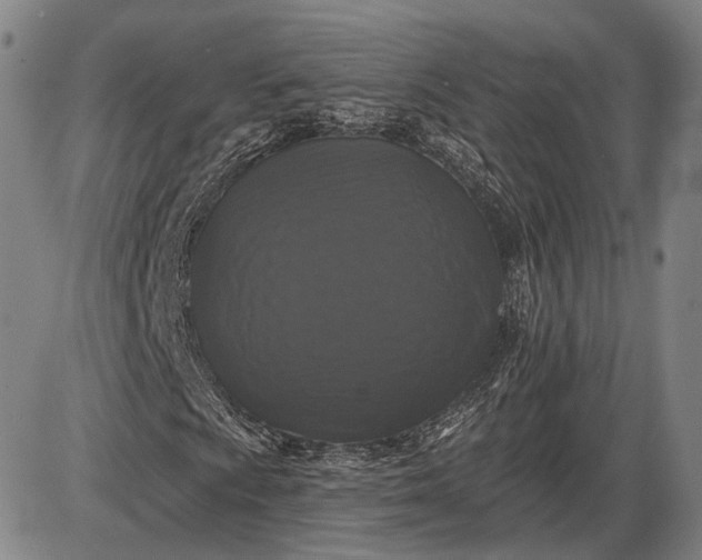 X0000085821009200703301548