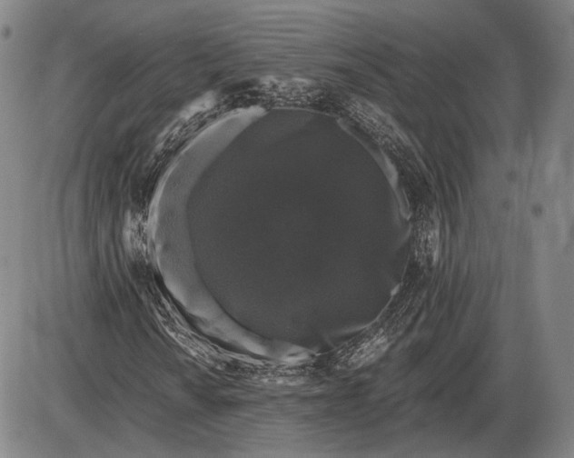 X0000085821010200703301548