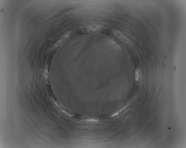 X0000085821011200703301548