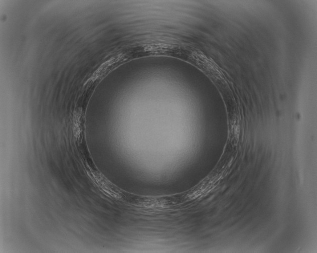 X0000085821012200703301548
