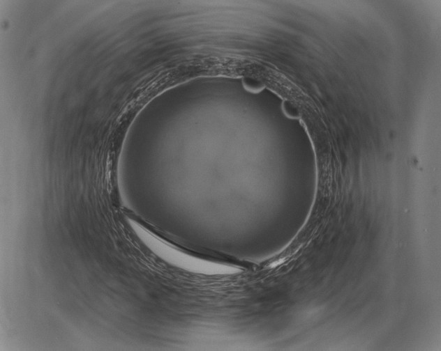 X0000085821013200703301548