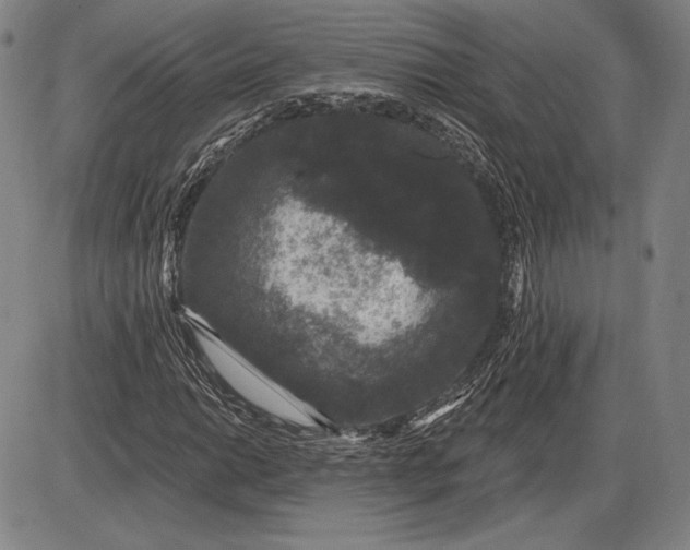 X0000085821014200703301548
