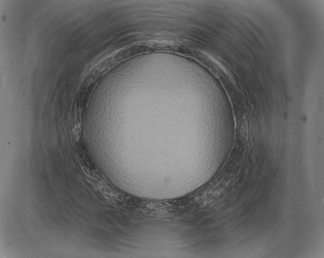 X0000085821015200703301548