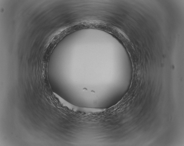 X0000085821016200703301548