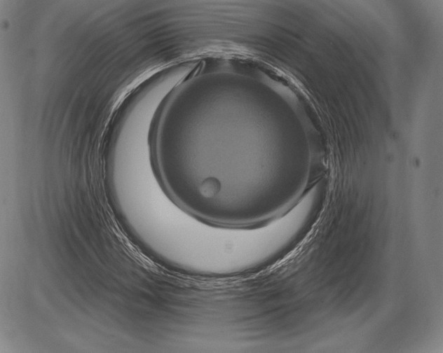 X0000085821018200703301548
