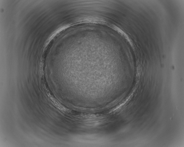 X0000085821019200703301548