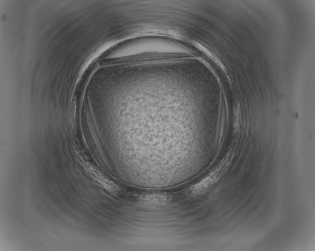 X0000085821021200703301548