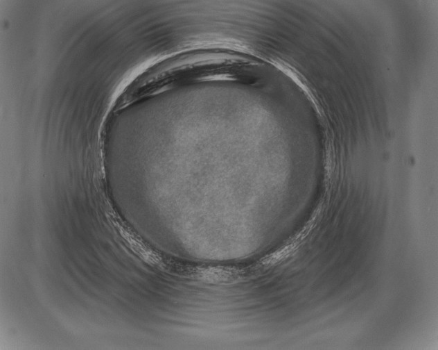 X0000085821022200703301548