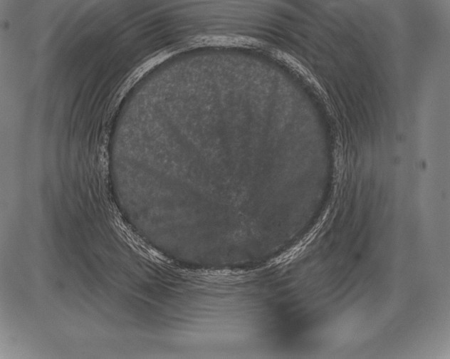 X0000085821025200703301548