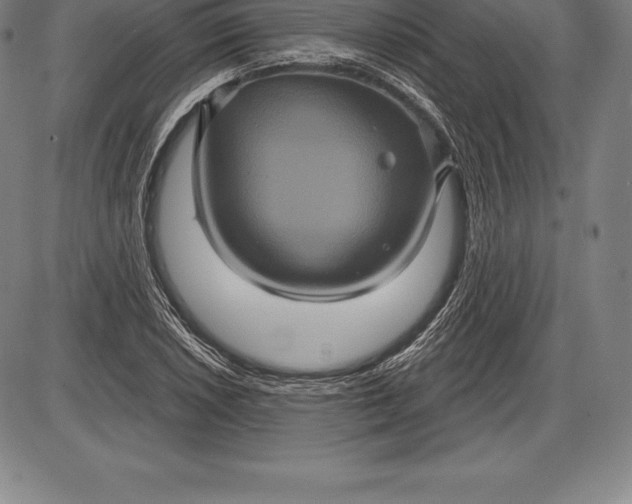 X0000085821026200703301548