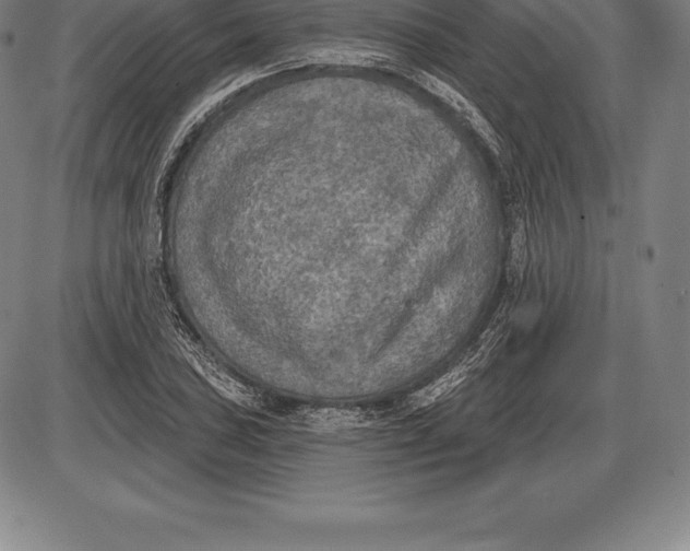 X0000085821027200703301548