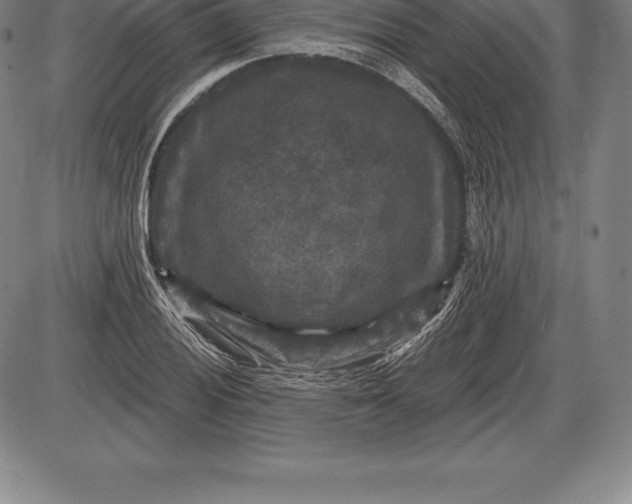 X0000085821028200703301548