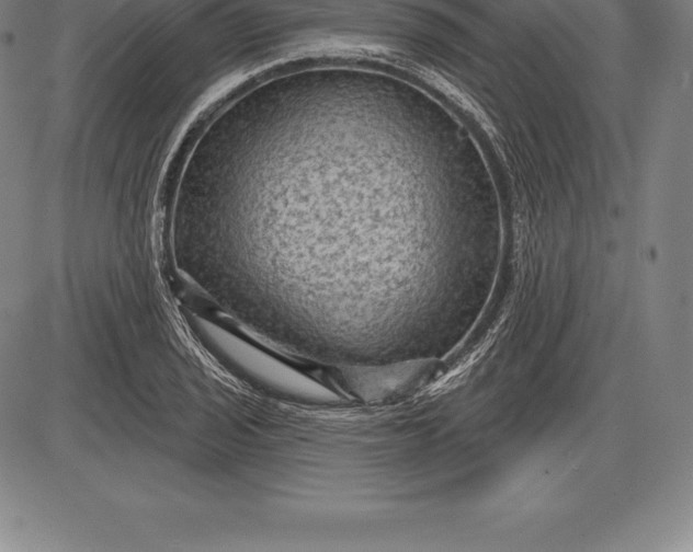 X0000085821029200703301548