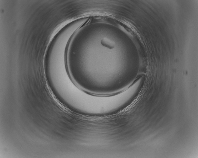 X0000085821030200703301548