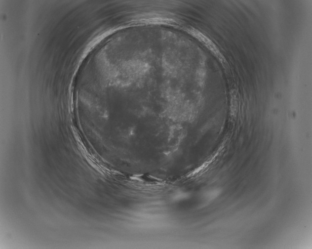 X0000085821031200703301548