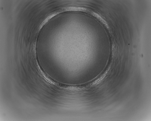 X0000085821033200703301548