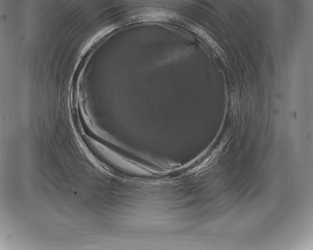X0000085821034200703301548
