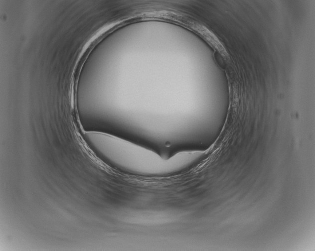 X0000085821036200703301548