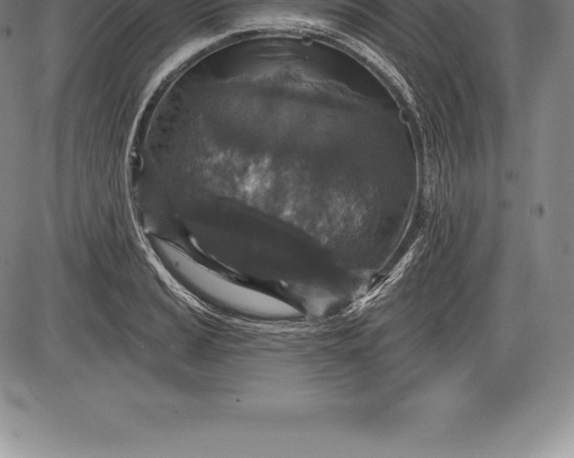 X0000085821037200703301548