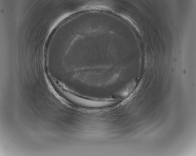 X0000085821038200703301548