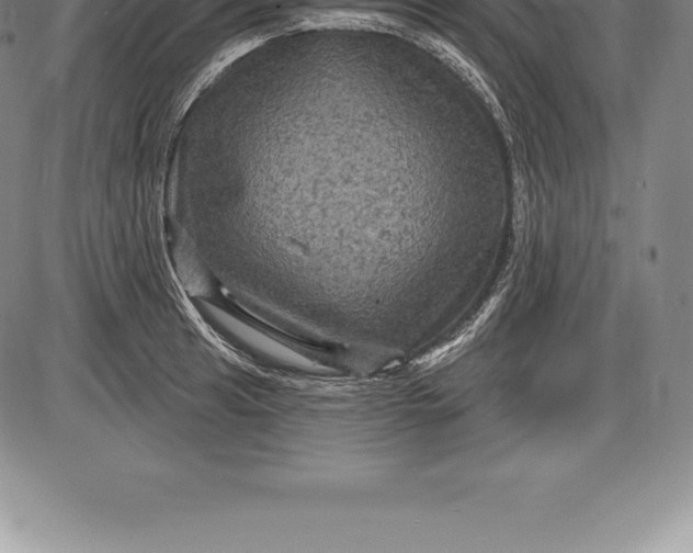 X0000085821041200703301548