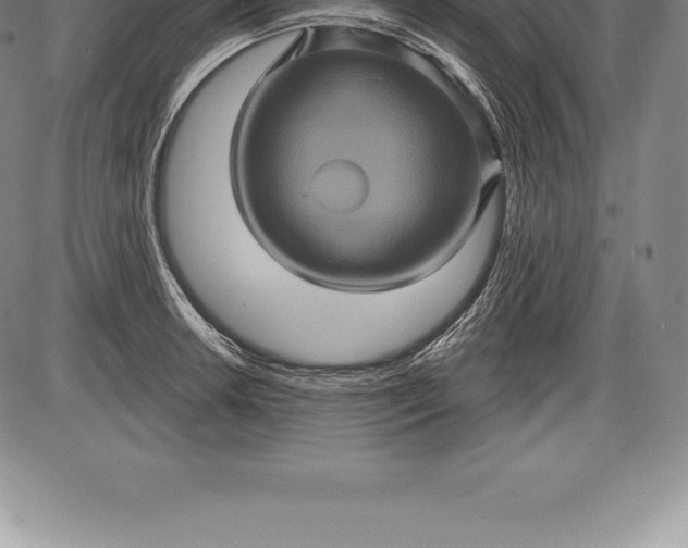 X0000085821042200703301548