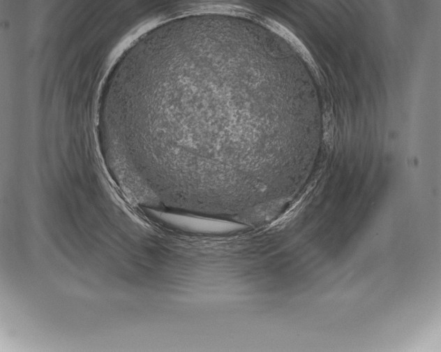 X0000085821043200703301548