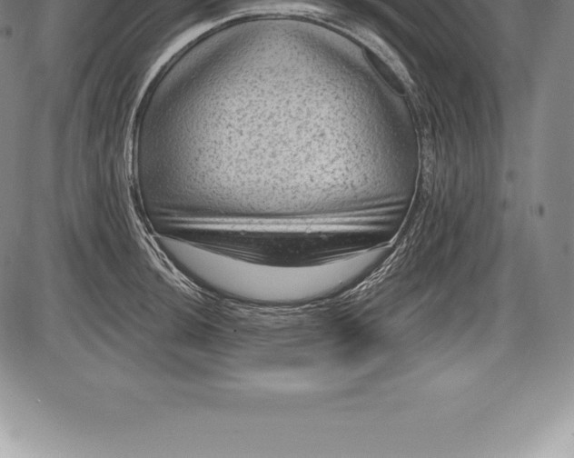 X0000085821044200703301548
