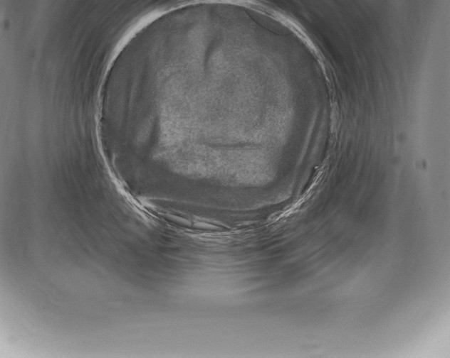 X0000085821048200703301548