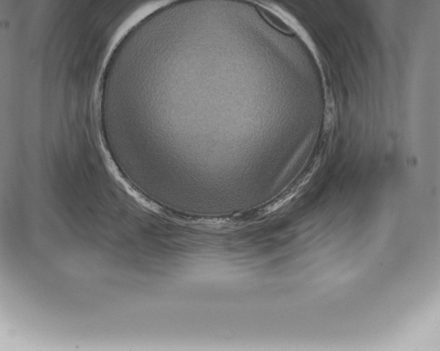 X0000085821053200703301548