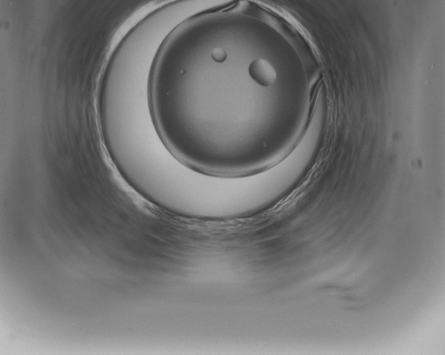 X0000085821054200703301548