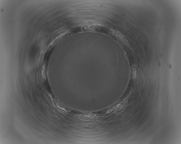 X0000085821060200703301548