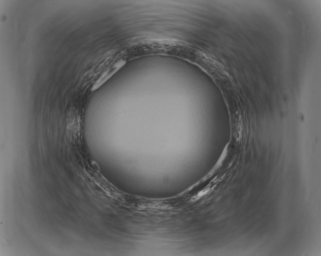 X0000085821061200703301548