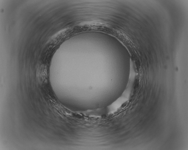 X0000085821062200703301548