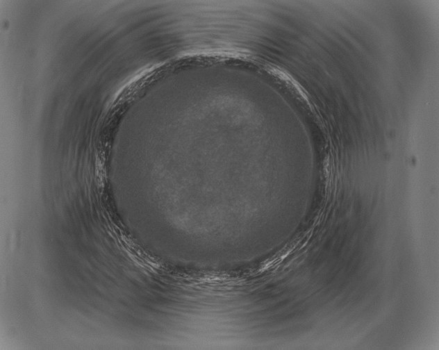 X0000085821064200703301548