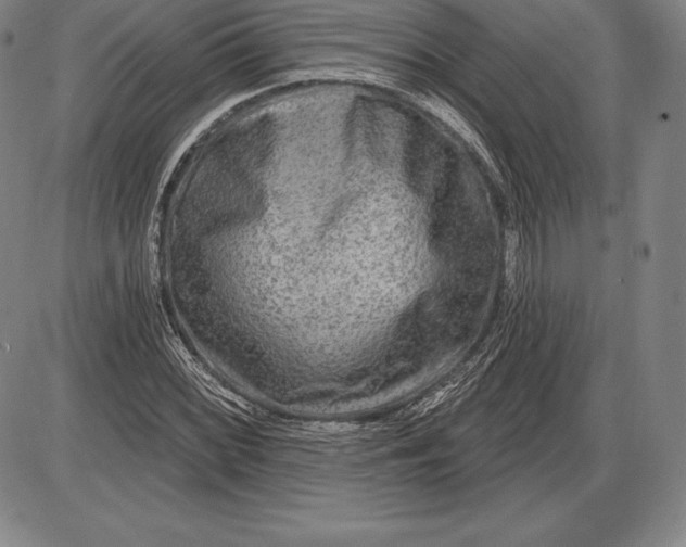 X0000085821068200703301547