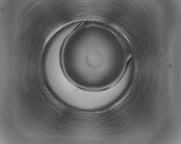 X0000085821069200703301547